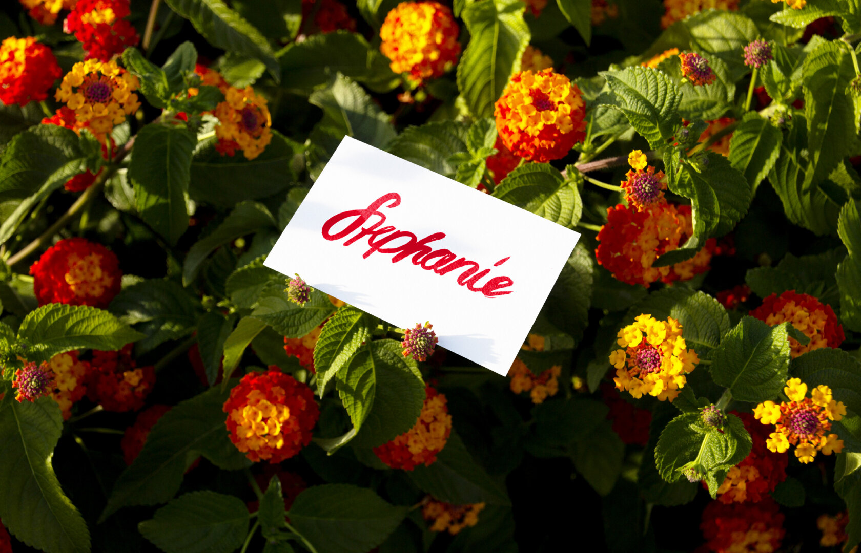 projekt-stephanie-karte-pablo-luetkenhaus-03-quer