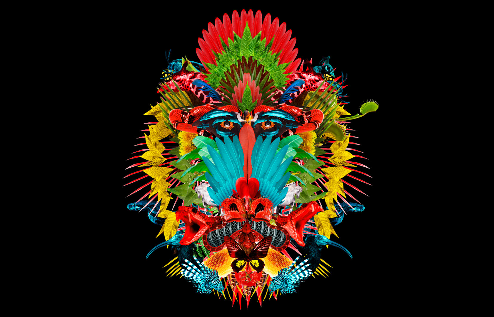 projekt-dth-laune-mandrill-pablo-luetkenhaus-02-quer